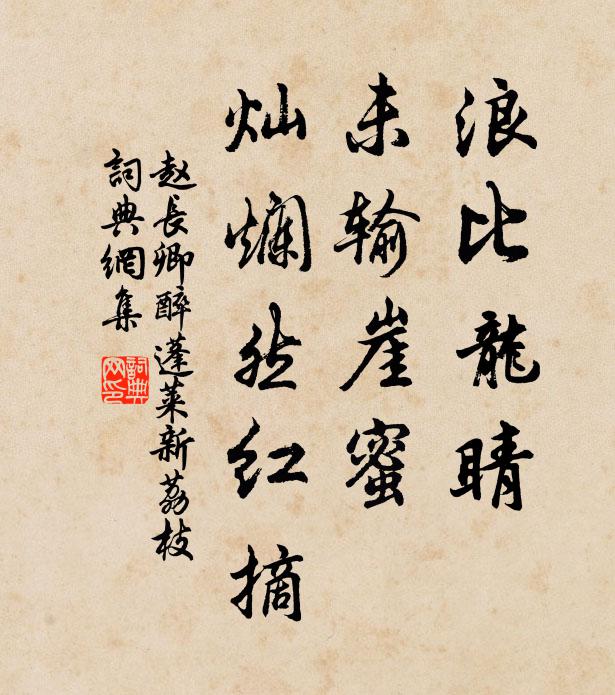 赵长卿浪比龙睛，未输崖蜜，灿烂然红摘书法作品欣赏
