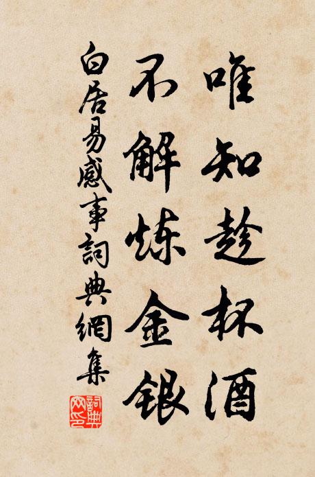 白居易唯知趁杯酒，不解炼金银书法作品欣赏