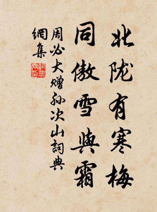 周必大北陇有寒梅，同傲雪与霜书法作品欣赏