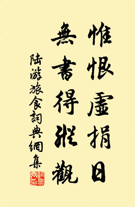 陆游惟恨虚捐日，无书得纵观书法作品欣赏