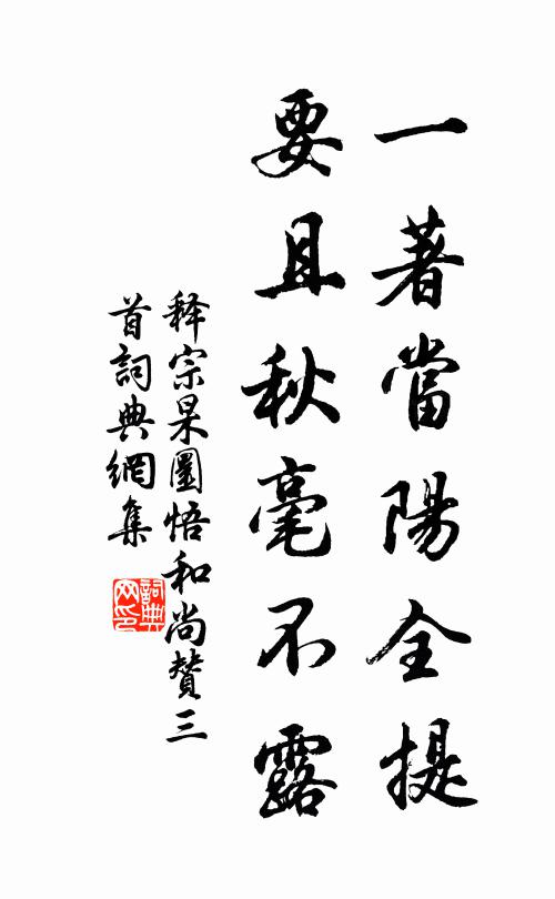 释宗杲一著当阳全提，要且秋毫不露书法作品欣赏