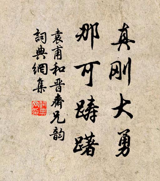 袁甫真刚大勇，那可踌躇书法作品欣赏