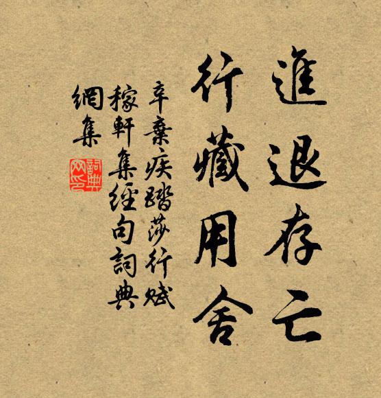 辛弃疾进退存亡，行藏用舍书法作品欣赏