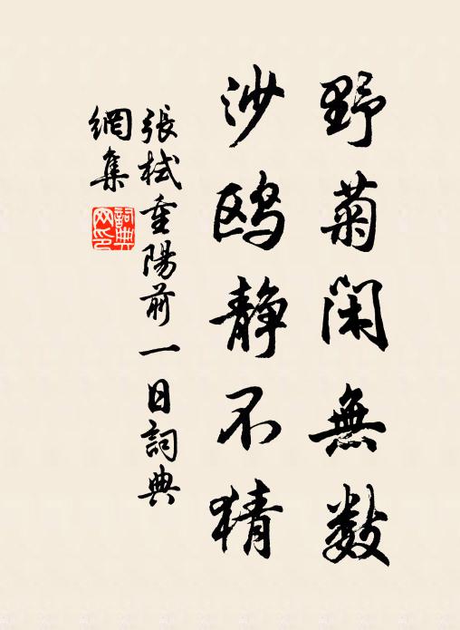 张栻野菊闲无数,沙鸥静不猜书法作品欣赏