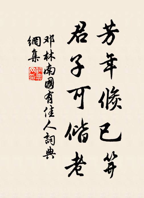 邓林芳年倏已笄，君子可偕老书法作品欣赏