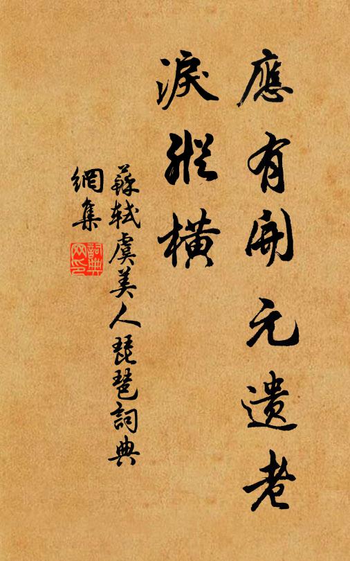 苏轼应有开元遗老、泪纵横书法作品欣赏