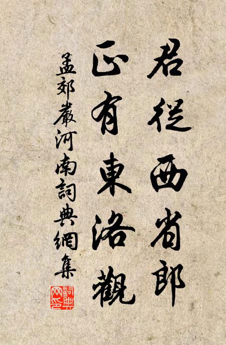 孟郊君从西省郎，正有东洛观书法作品欣赏