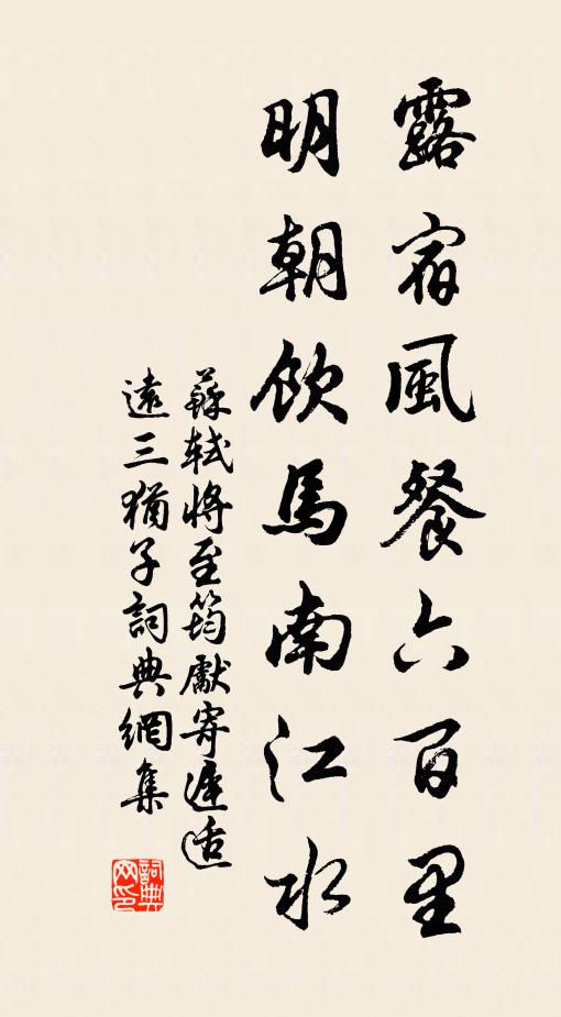 苏轼露宿风餐六百里，明朝饮马南江水书法作品欣赏