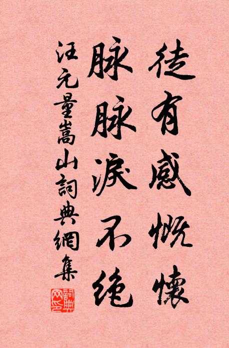 汪元量徒有感慨怀，脉脉泪不绝书法作品欣赏