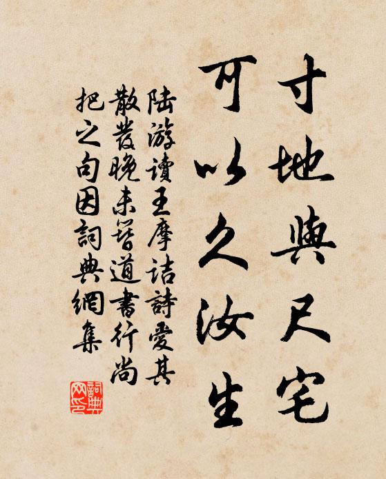 陆游寸地与尺宅，可以久汝生书法作品欣赏