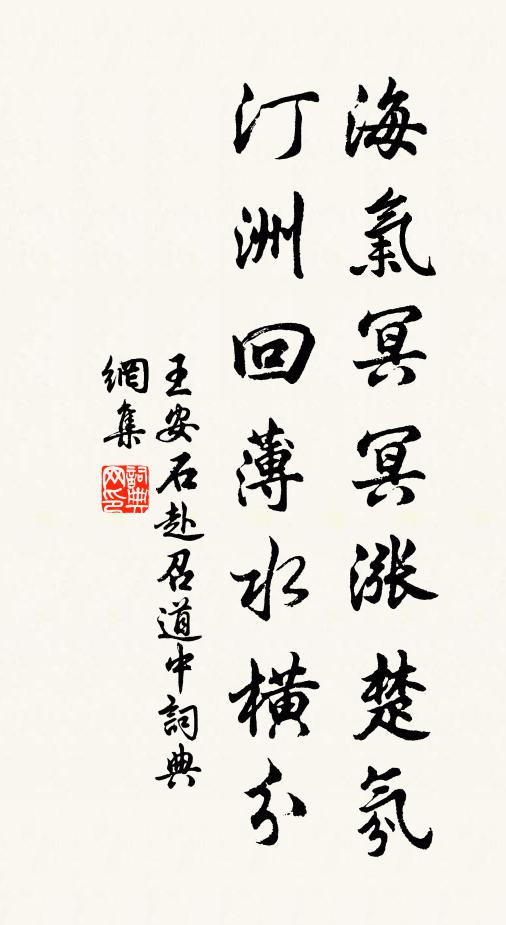 王安石海气冥冥涨楚氛，汀洲回薄水横分书法作品欣赏