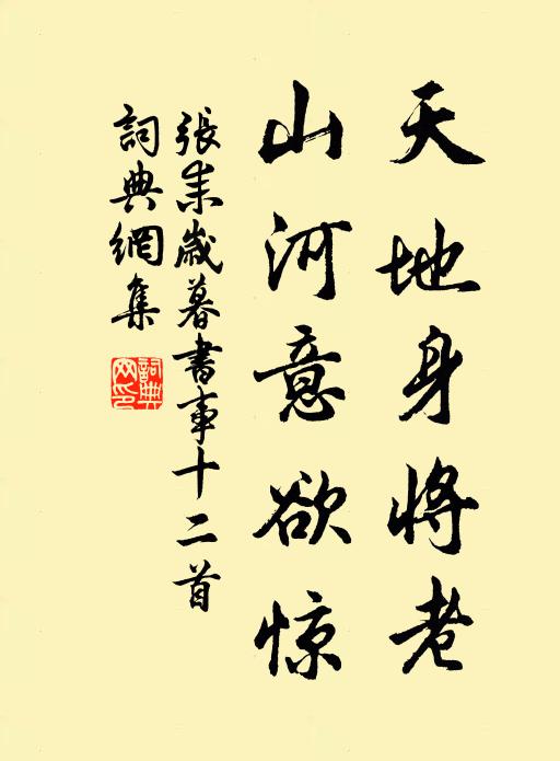 张耒天地身将老，山河意欲惊书法作品欣赏