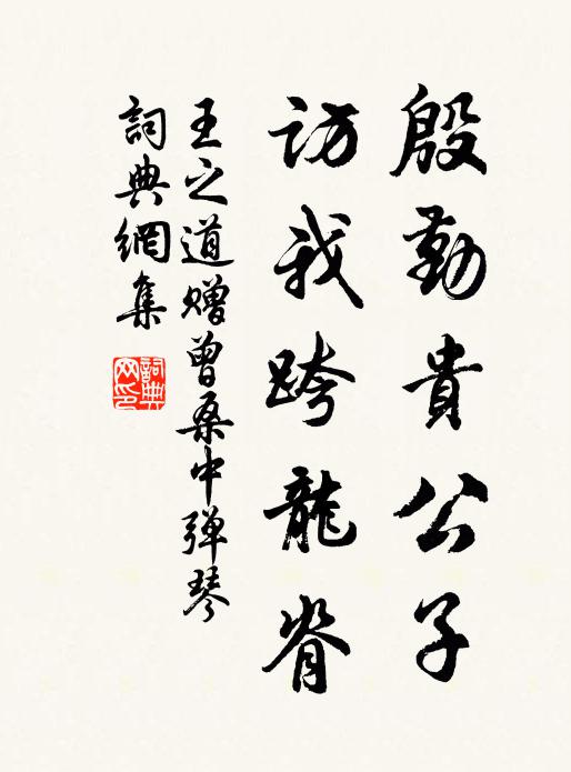 王之道殷勤贵公子，访我跨龙脊书法作品欣赏