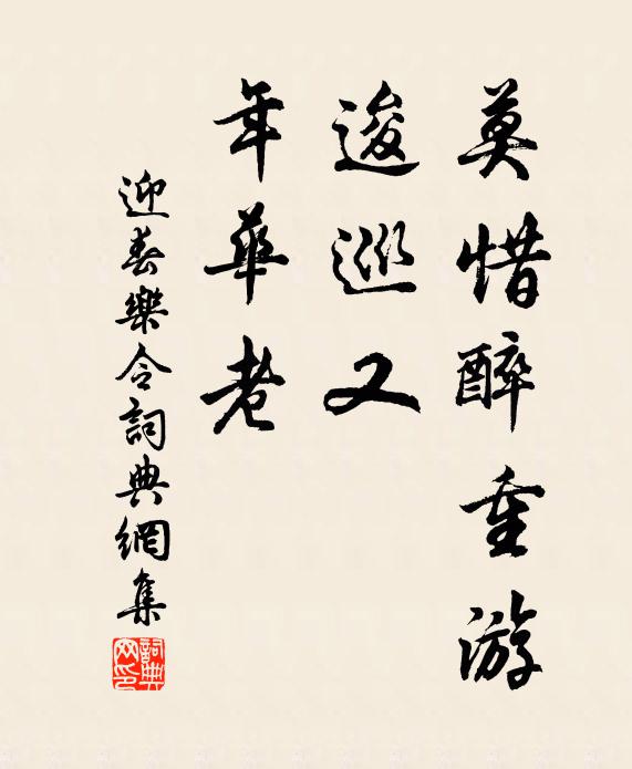 佚名莫惜醉重游，逡巡又、年华老书法作品欣赏