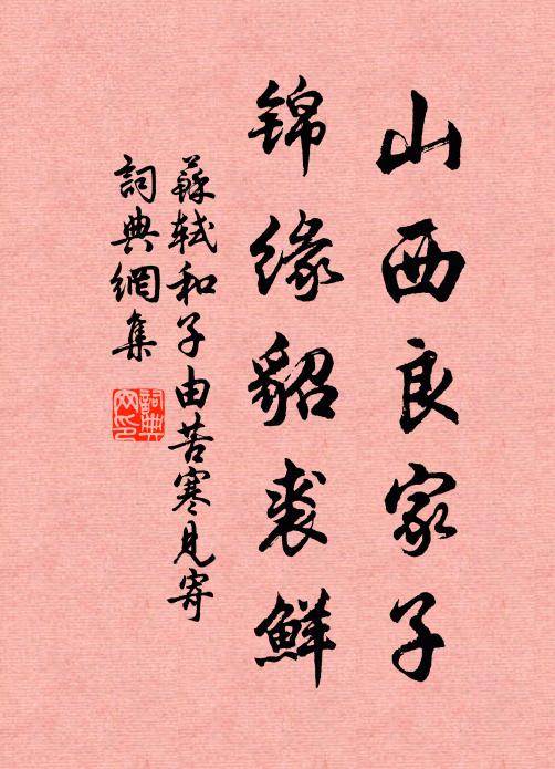 苏轼山西良家子，锦缘貂裘鲜书法作品欣赏