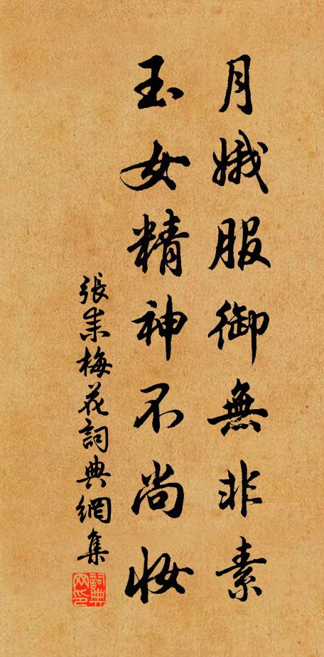 张耒月娥服御无非素，玉女精神不尚妆书法作品欣赏