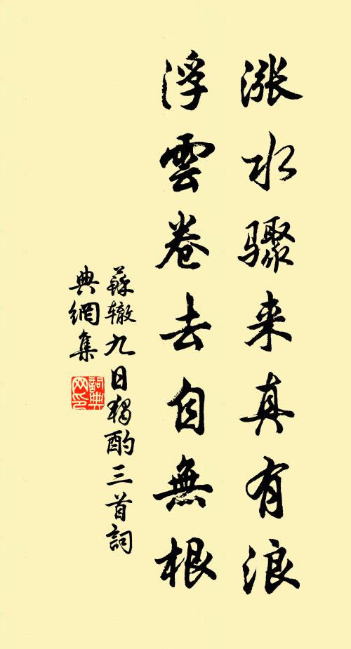 苏辙涨水骤来真有浪，浮云卷去自无根书法作品欣赏