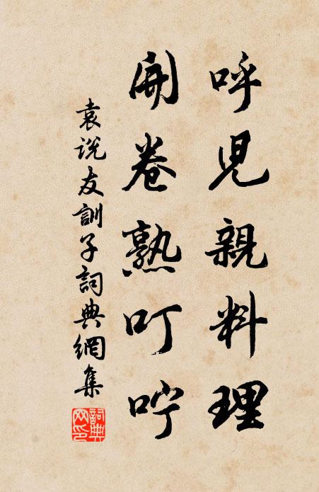袁说友呼儿亲料理，开卷熟叮咛书法作品欣赏
