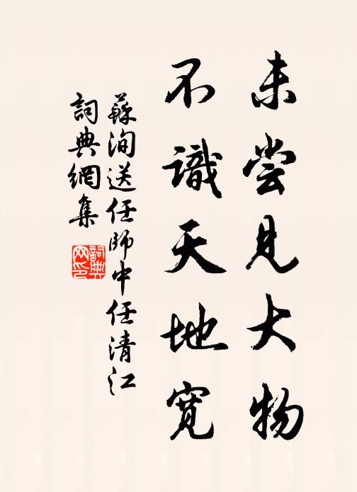 苏洵未尝见大物，不识天地宽书法作品欣赏