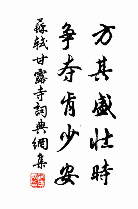 苏轼方其盛壮时,争夺肯少安书法作品欣赏