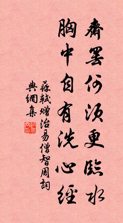 苏轼斋罢何须更临水，胸中自有洗心经书法作品欣赏