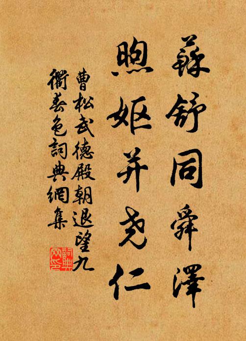 曹松苏舒同舜泽，煦妪并尧仁书法作品欣赏
