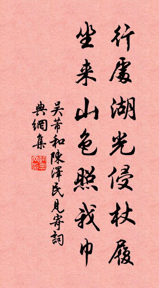 吴芾行处湖光侵杖履，坐来山色照我巾书法作品欣赏