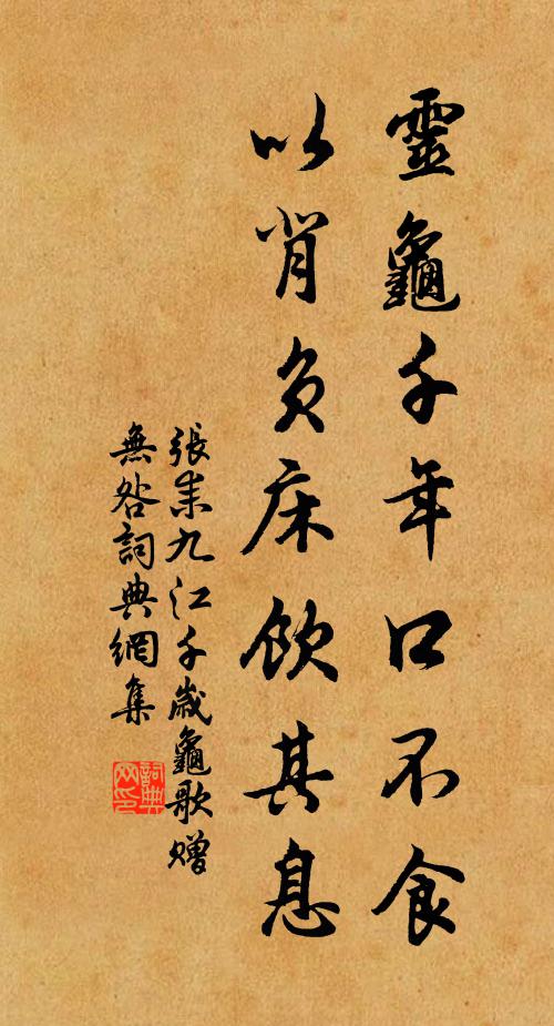 张耒灵龟千年口不食，以背负床饮其息书法作品欣赏