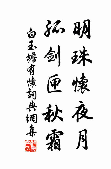 白玉蟾明珠怀夜月，孤剑匣秋霜书法作品欣赏