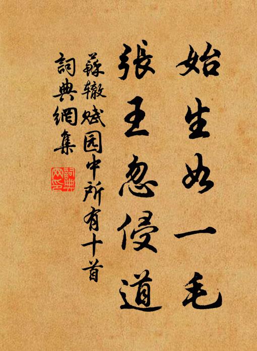 苏辙始生如一毛，张王忽侵道书法作品欣赏