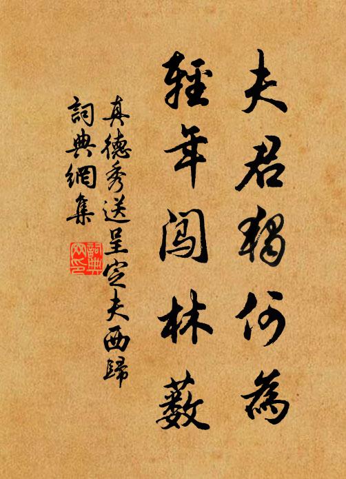 真德秀夫君独何为，轻年闯林薮书法作品欣赏