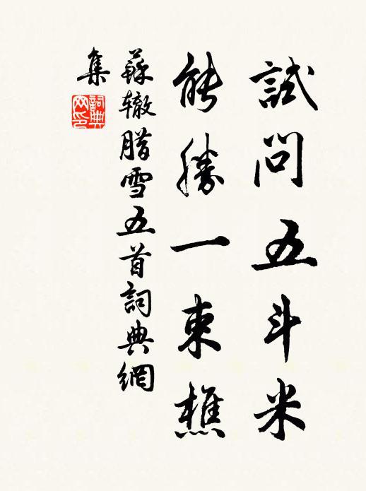 苏辙试问五斗米，能胜一束樵书法作品欣赏