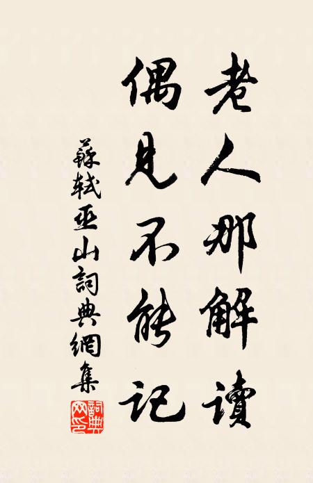 苏轼老人那解读,偶见不能记书法作品欣赏