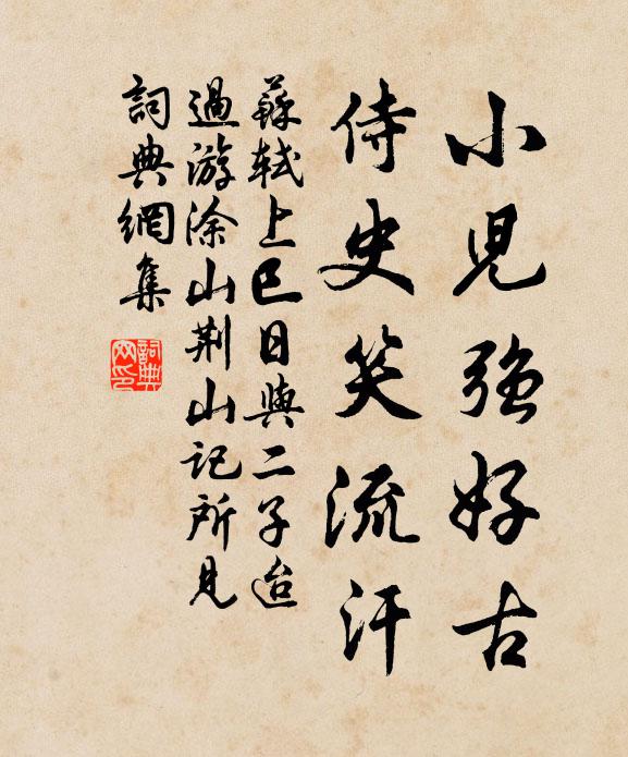 苏轼小儿强好古，侍史笑流汗书法作品欣赏