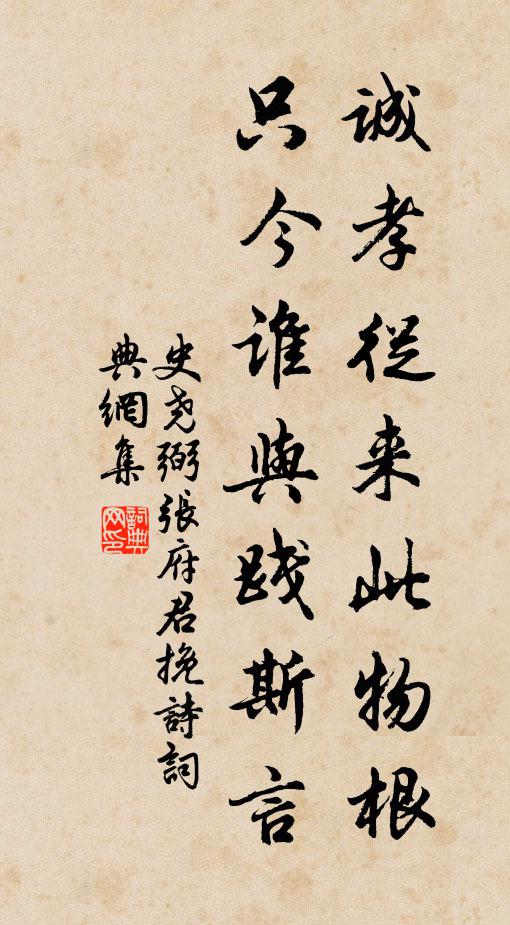 史尧弼诚孝从来此物根，只今谁与践斯言书法作品欣赏