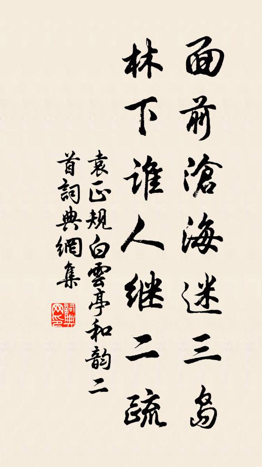 袁正规面前沧海迷三岛，林下谁人继二疏书法作品欣赏