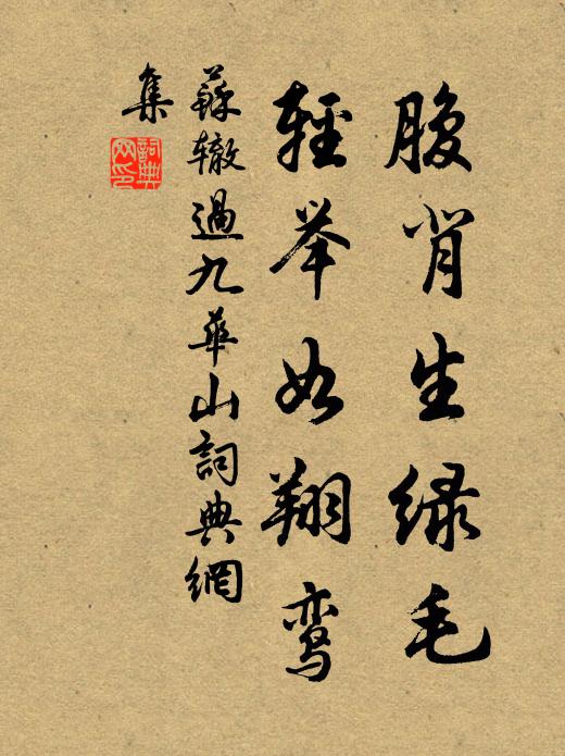 苏辙腹背生绿毛，轻举如翔鸾书法作品欣赏