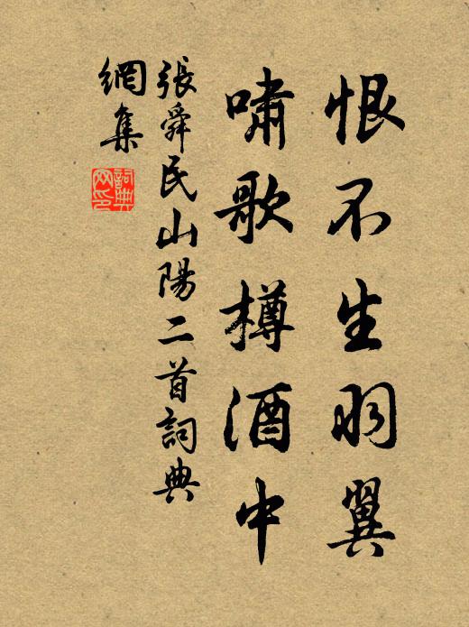 张舜民恨不生羽翼，啸歌樽酒中书法作品欣赏