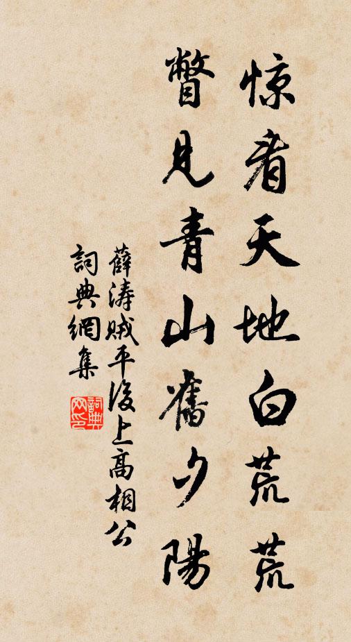 薛涛惊看天地白荒荒，瞥见青山旧夕阳书法作品欣赏