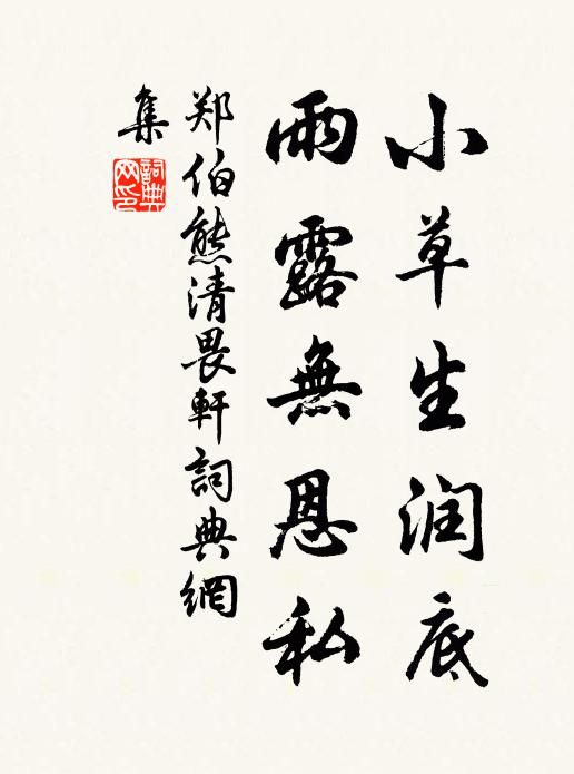 郑伯熊小草生润底，雨露无恩私书法作品欣赏