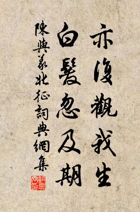陈与义亦复观我生，白发忽及期书法作品欣赏