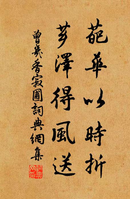 曾几葩华以时折，芗泽得风送书法作品欣赏
