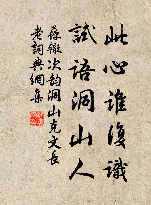 苏辙此心谁复识，试语洞山人书法作品欣赏