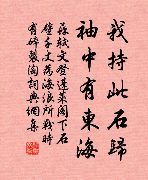 苏轼我持此石归，袖中有东海书法作品欣赏