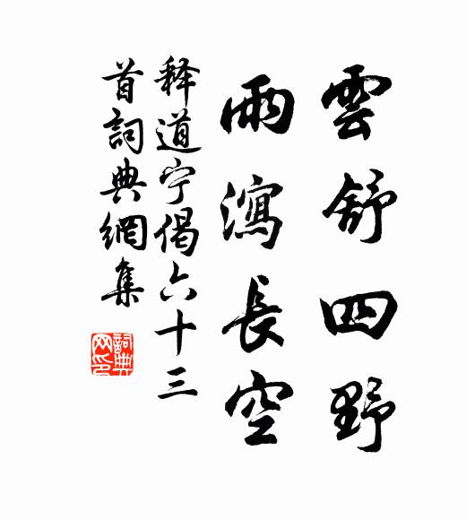 释道宁云舒四野，雨泻长空书法作品欣赏