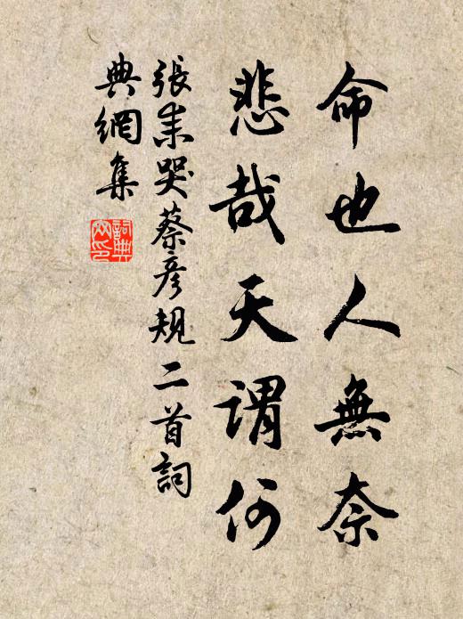 张耒命也人无奈，悲哉天谓何书法作品欣赏