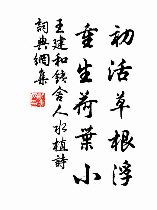 王建初活草根浮，重生荷叶小书法作品欣赏