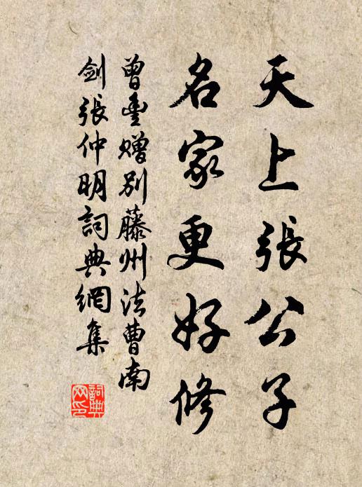 曾丰天上张公子,名家更好修书法作品欣赏