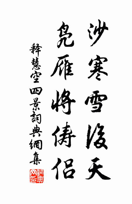 释慧空沙寒雪后天，凫雁将俦侣书法作品欣赏