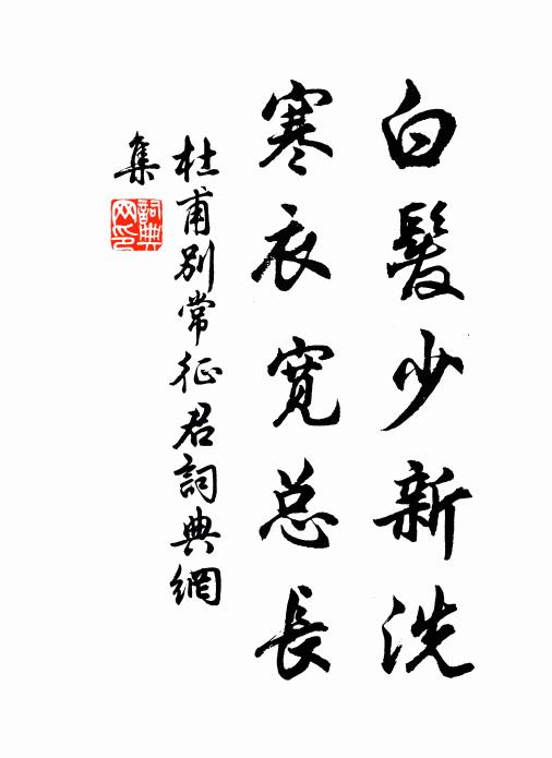 杜甫白发少新洗，寒衣宽总长书法作品欣赏